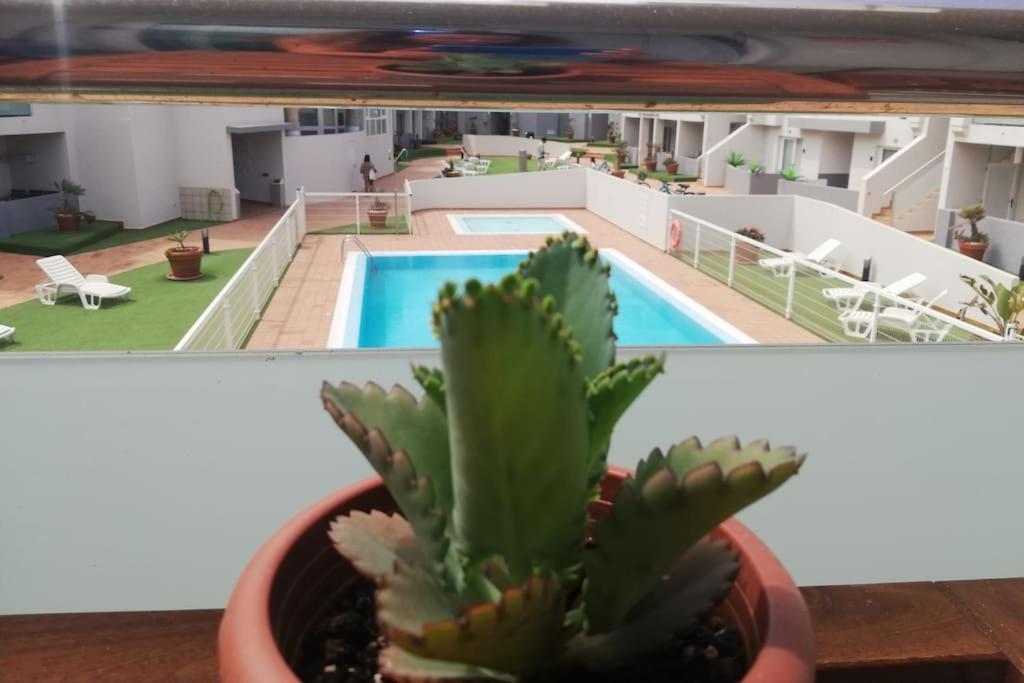 Apartament Blue Ocean Corralejo: Sunny Terrace, Pool, Wifi Zewnętrze zdjęcie
